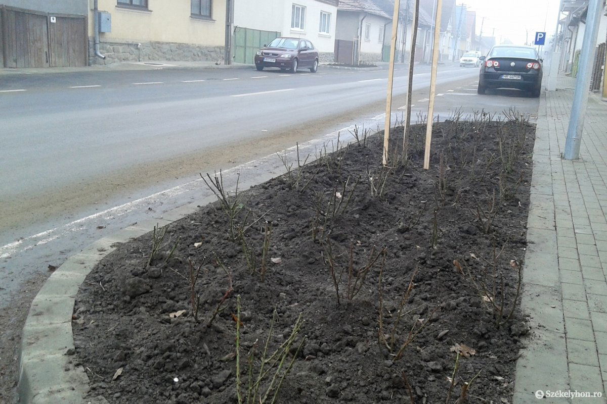 •  Fotó: Gergely Imre