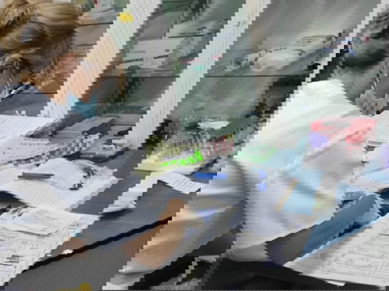 Sokan adtak vért Gyergyószentmiklóson