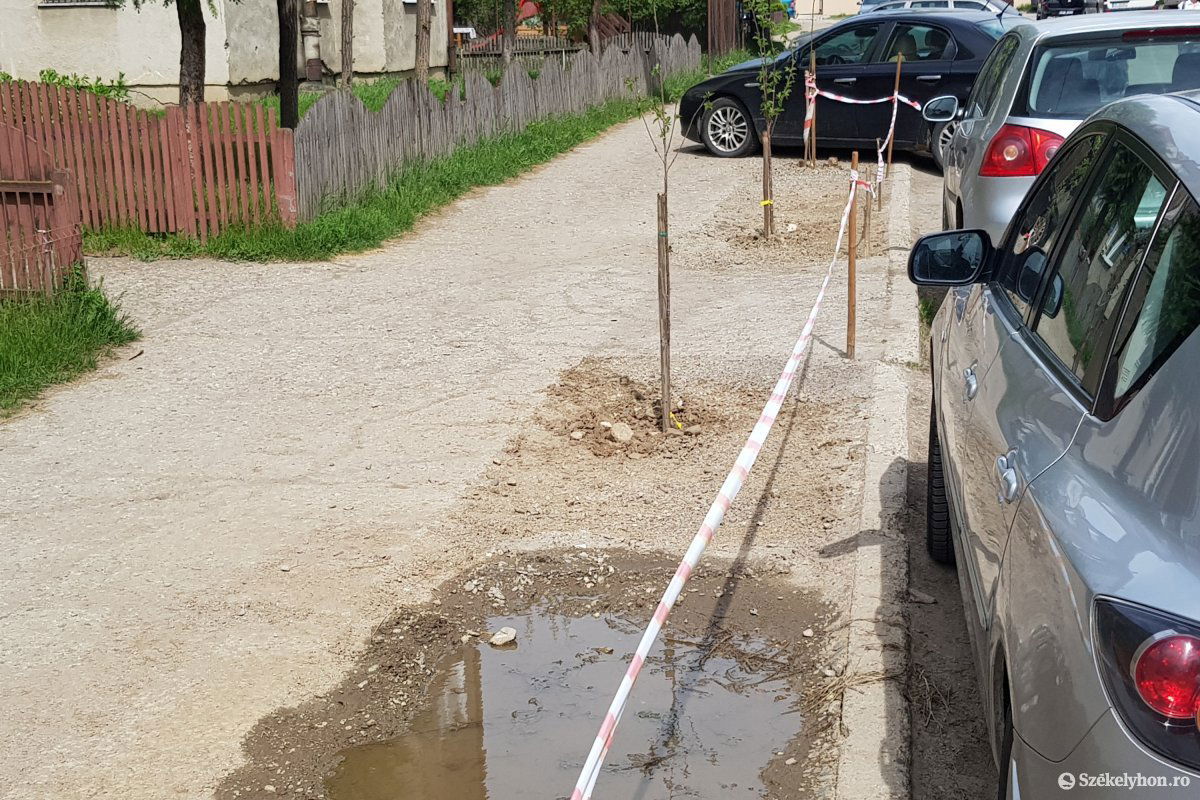 Rövid ideig szabadon hagyták az elkerített részt, aztán „visszafoglalták” •  Fotó: Gergely Imre