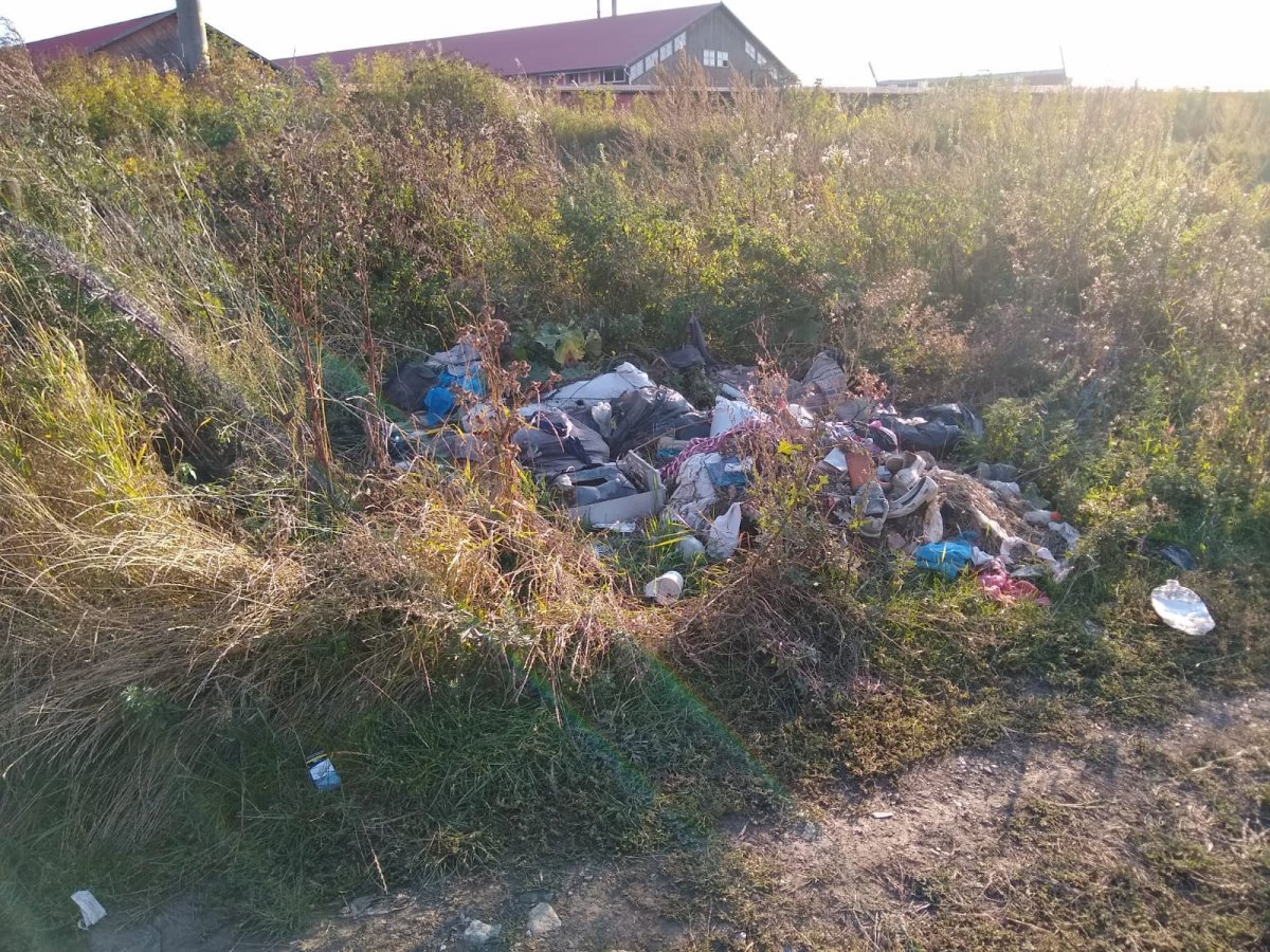 Sosem ugyanazok gyűjtik össze, mint akik eldobják •  Fotó: Gyergyószentmiklós önkormányzata