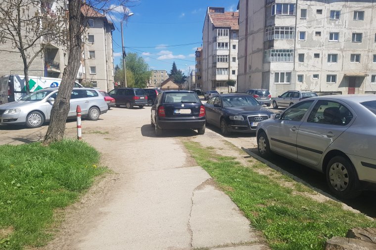 Városszépítés önerőből: példát mutatna a gyergyószentmiklósi Fenyő Szövetség