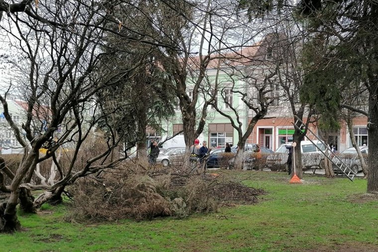 Fákat metszettek, szemetet szedtek a gyergyószentmiklósi városháza alkalmazottai