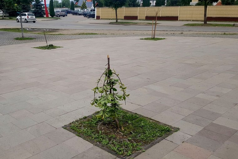 Egy rossz meg egy rossz hír Gyergyószentmiklósról: vandalizmus történt, és térfigyelő kamerára se futja idén