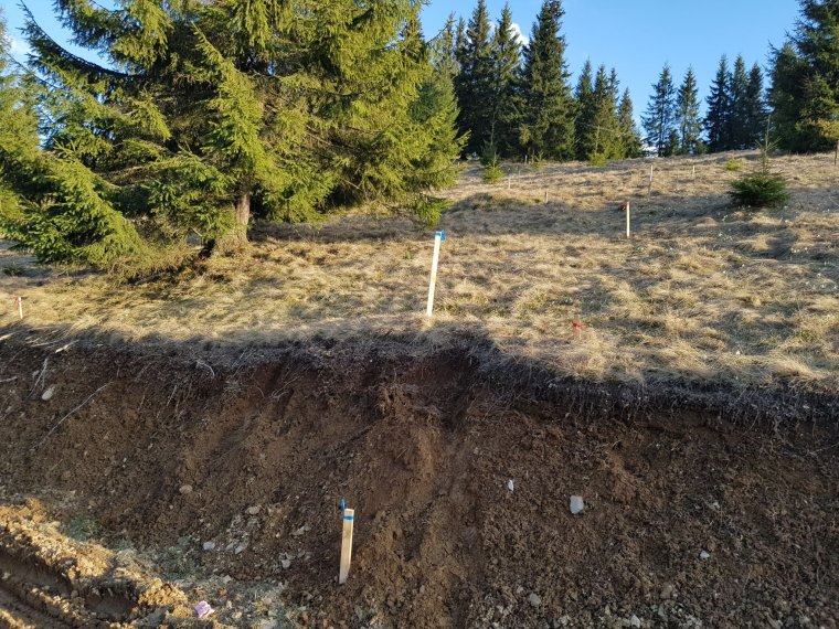 Télen-nyáron működő bobpálya épül a Pongrác-tetőn