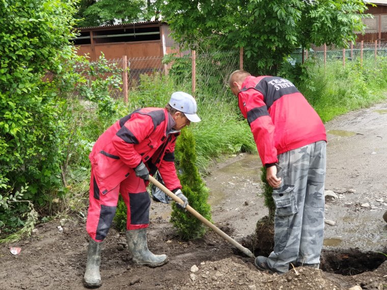 Fákat ültetnek oda, ahol dolgoztak
