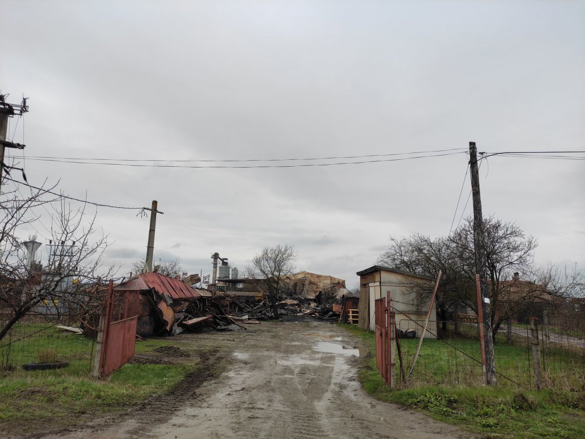 •  Fotó: Barabás Orsolya
