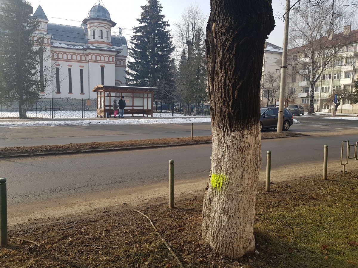 •  Fotó: Gergely Imre