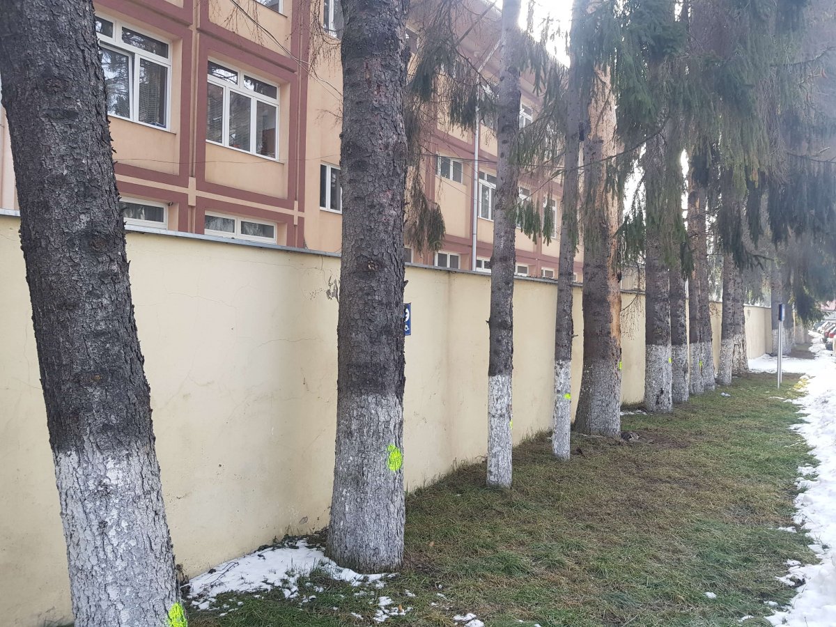 •  Fotó: Gergely Imre