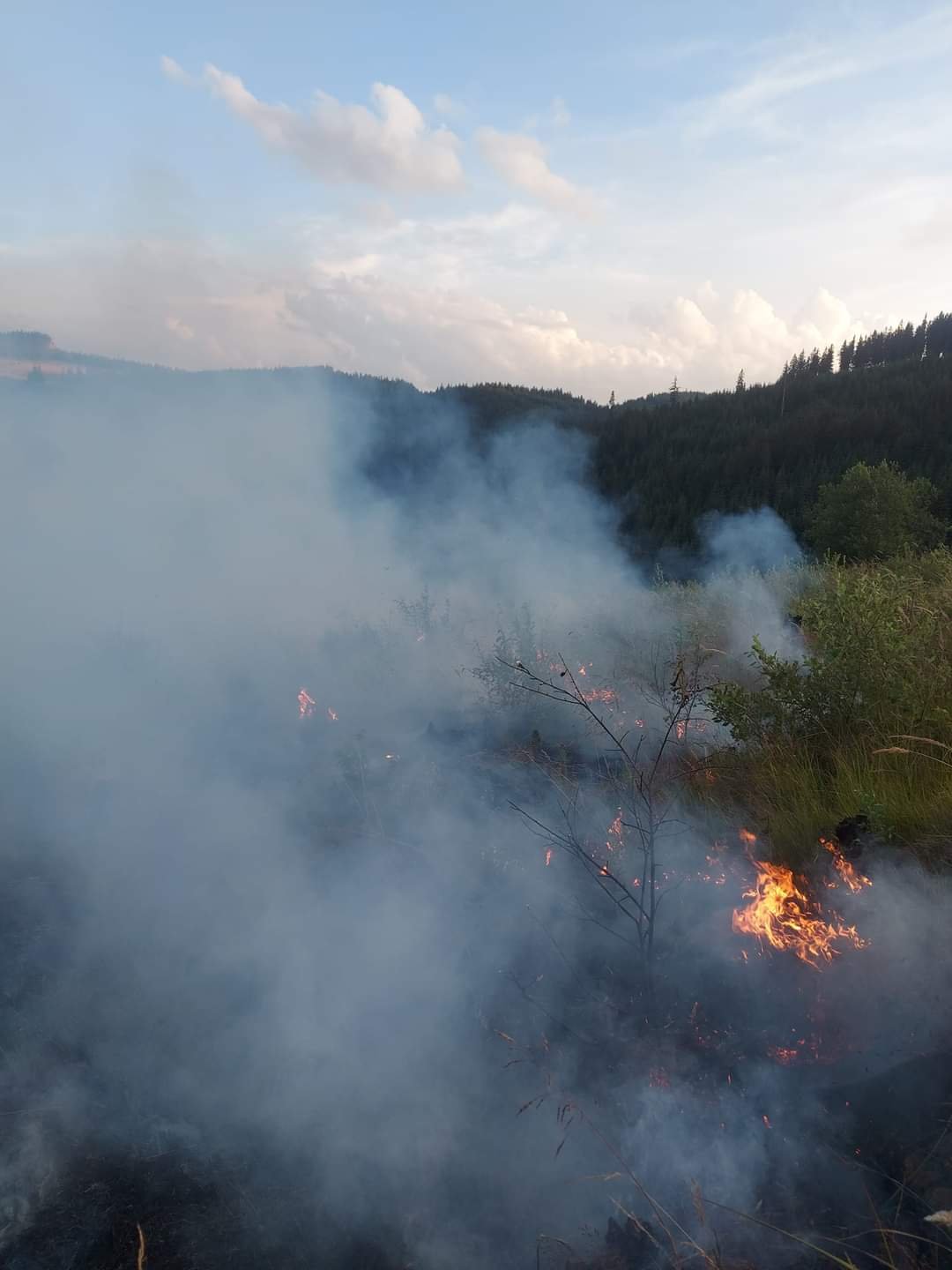 •  Fotó: Hargita Megyei Katasztrófavédelmi Felügyelőség