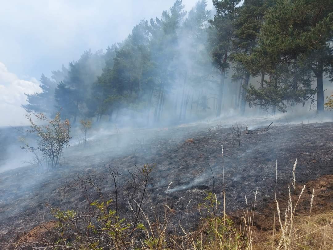 •  Fotó: Hargita Megyei Katasztrófavédelmi Felügyelőség