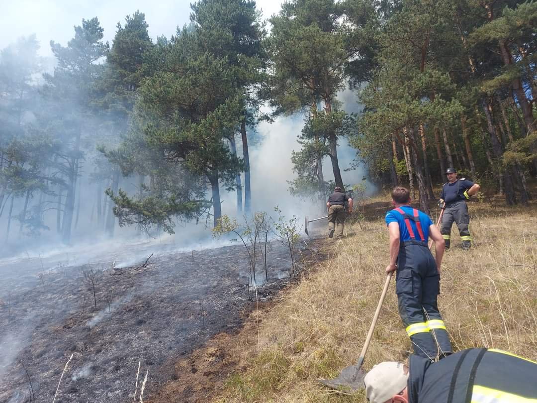 •  Fotó: Hargita Megyei Katasztrófavédelmi Felügyelőség