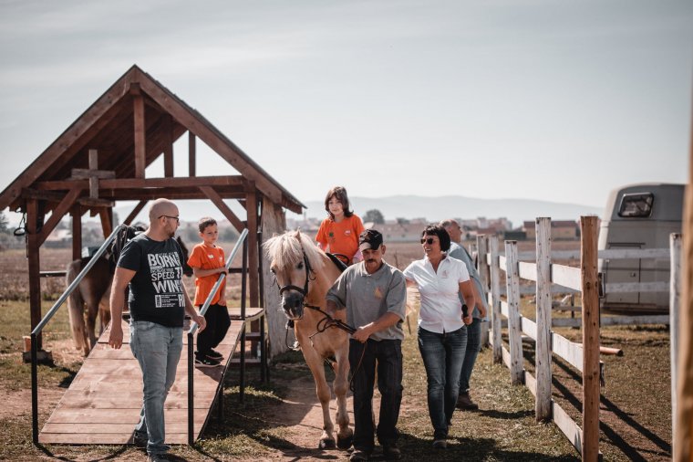 Tizenöt gyermeket várnak a lovas terápiára