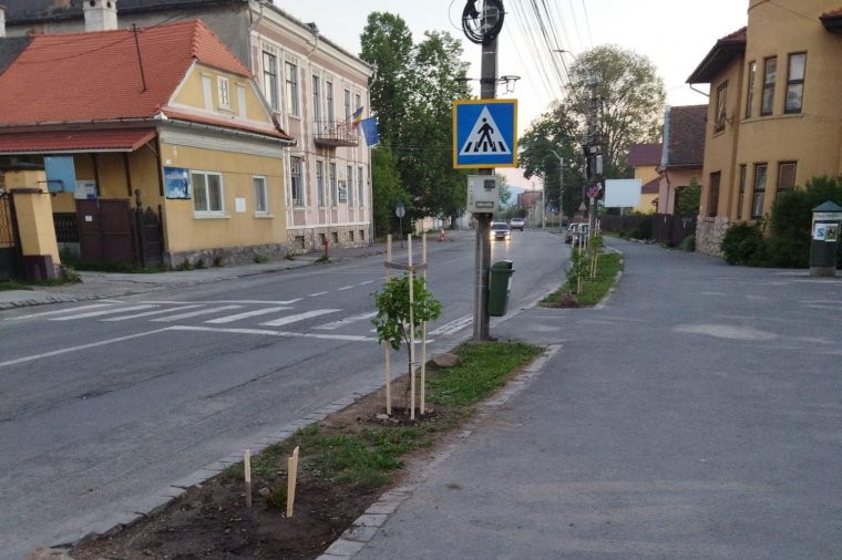 Leromlott állapotú zöldövezeteket raknak rendbe Gyergyószentmiklóson
