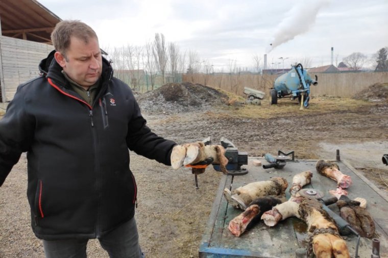 Szarvasmarhaköröm-pucoló és sajtkészítő képzés Gyergyószentmiklóson