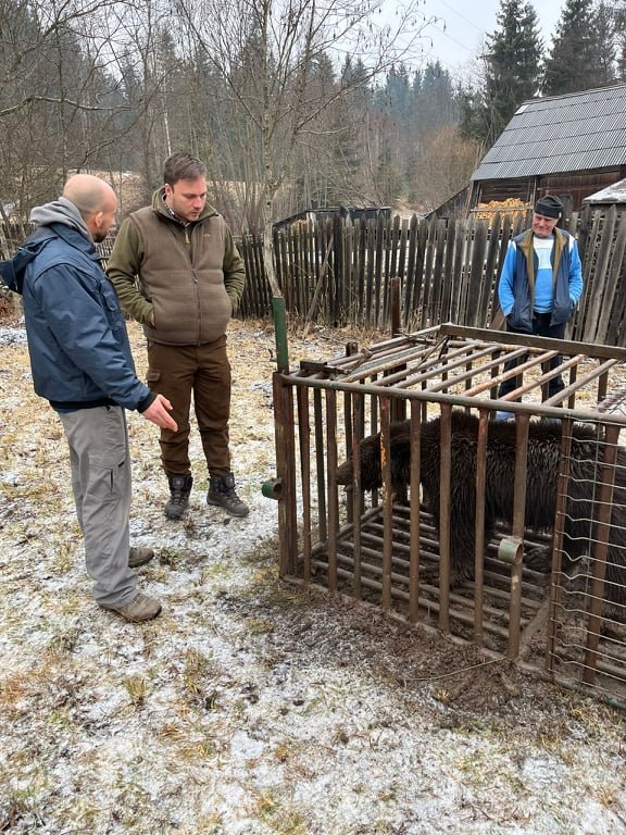 •  Fotó: Birtalan István