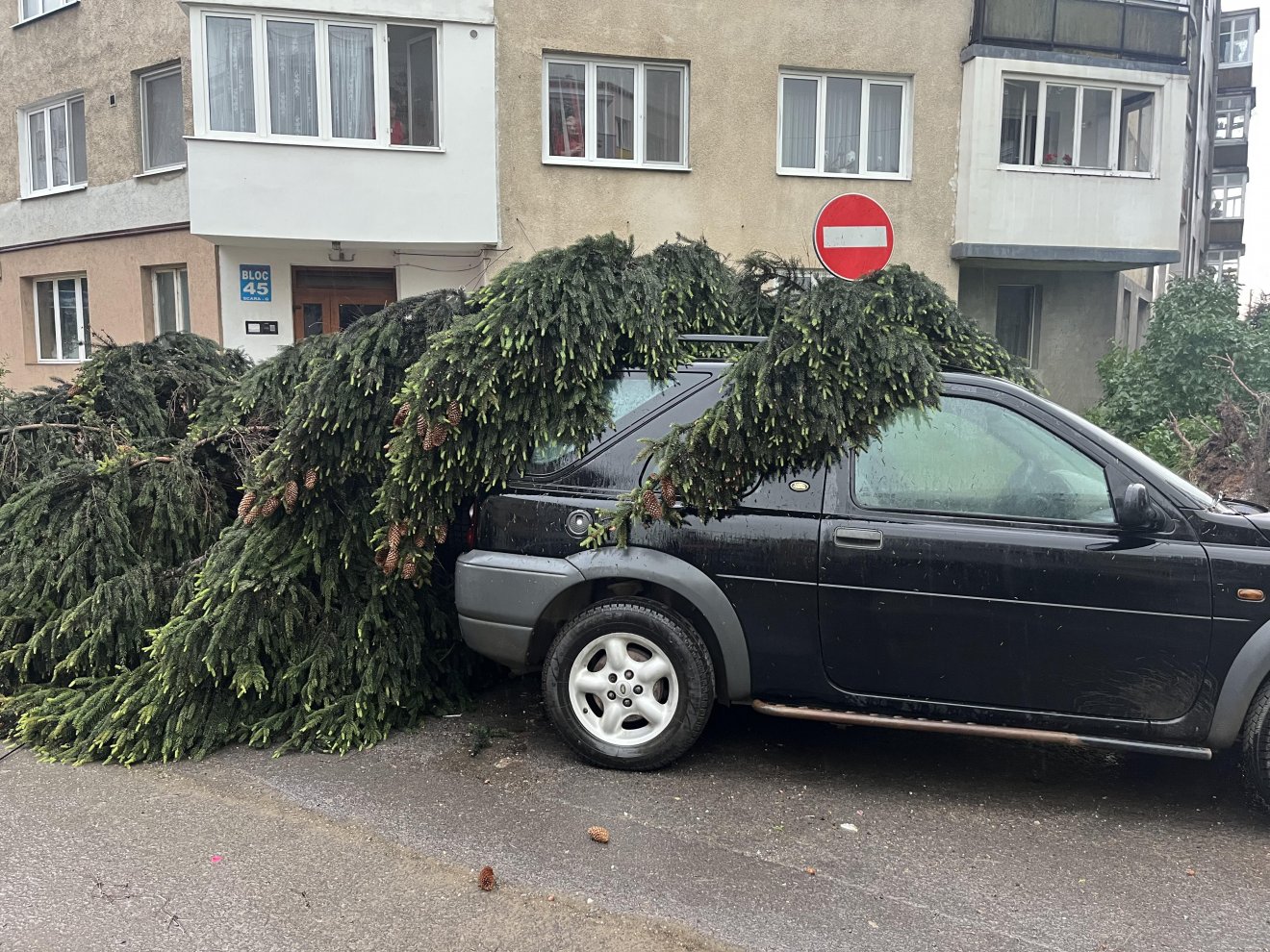 •  Fotó: Olvasói felvétel