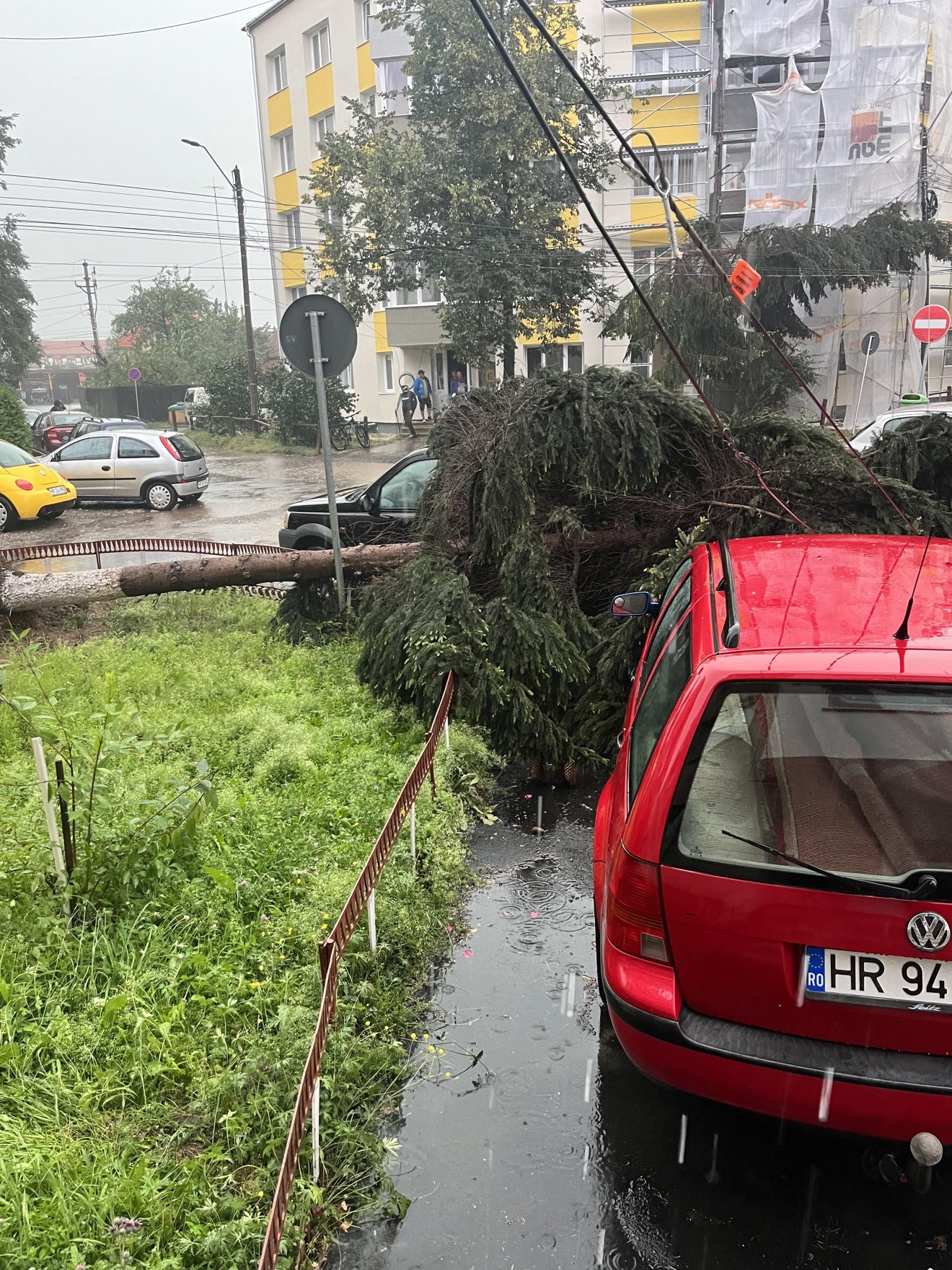 •  Fotó: Olvasói felvétel