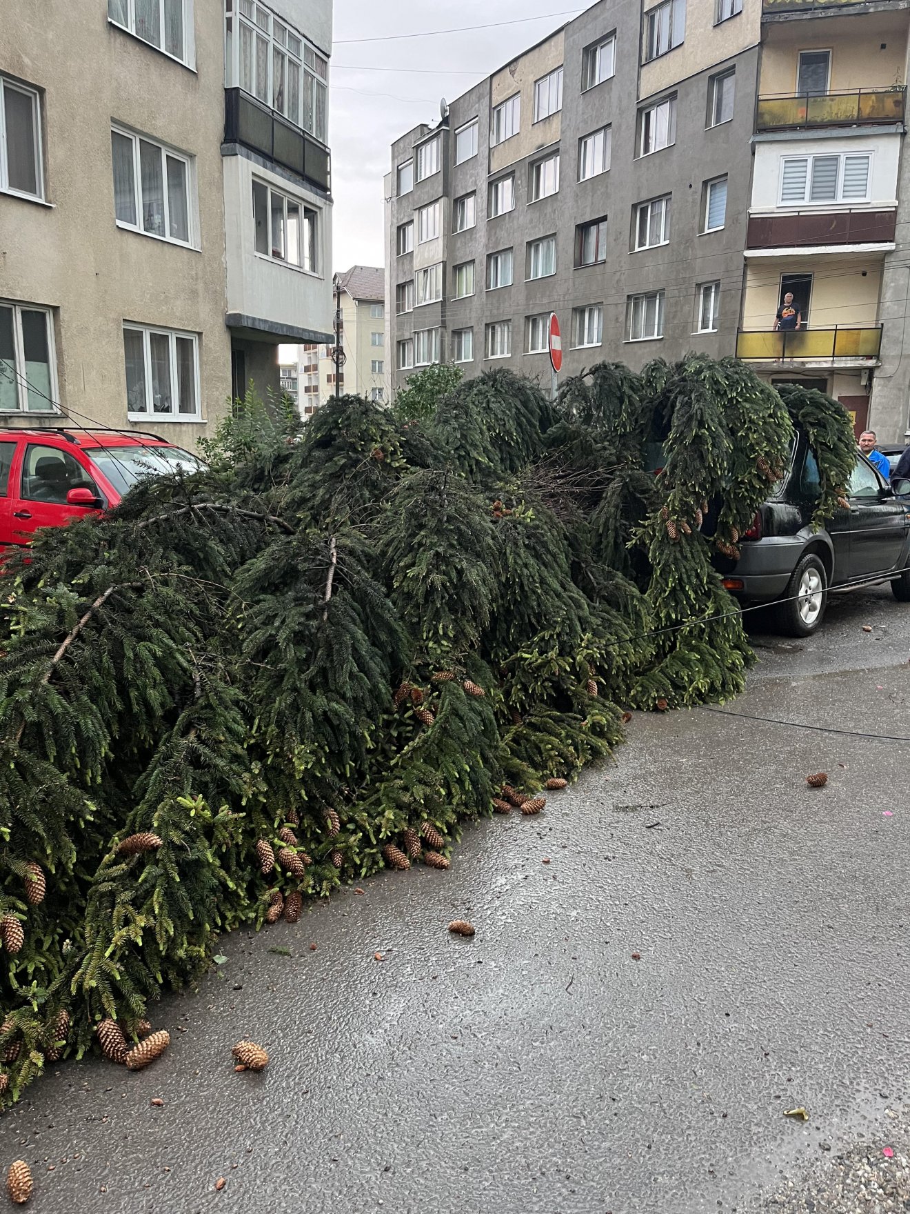 •  Fotó: Olvasói felvétel