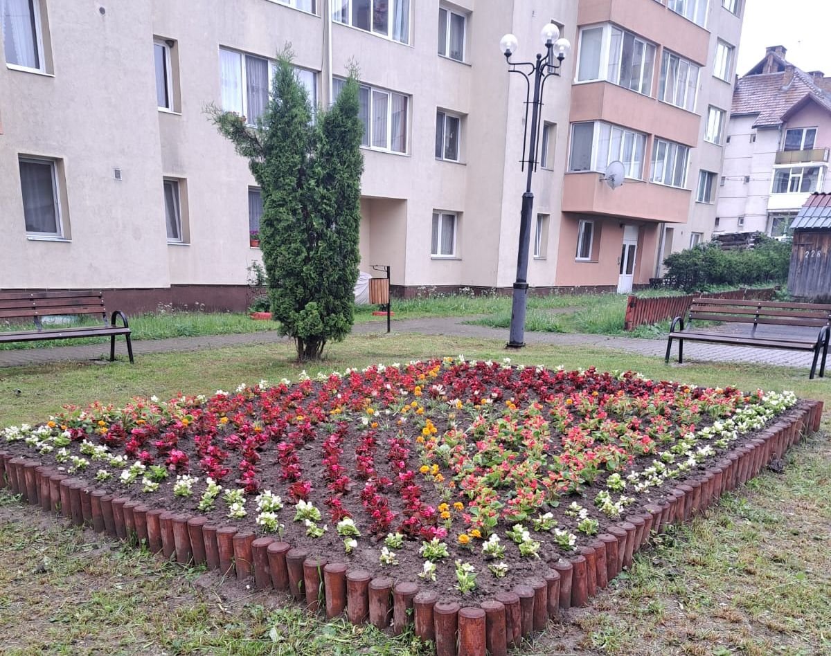 •  Fotó: Borszék Önkormányzata