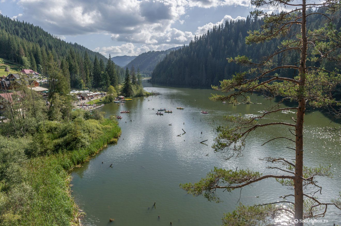 Képünk illusztráció •  Fotó: Pinti Attila
