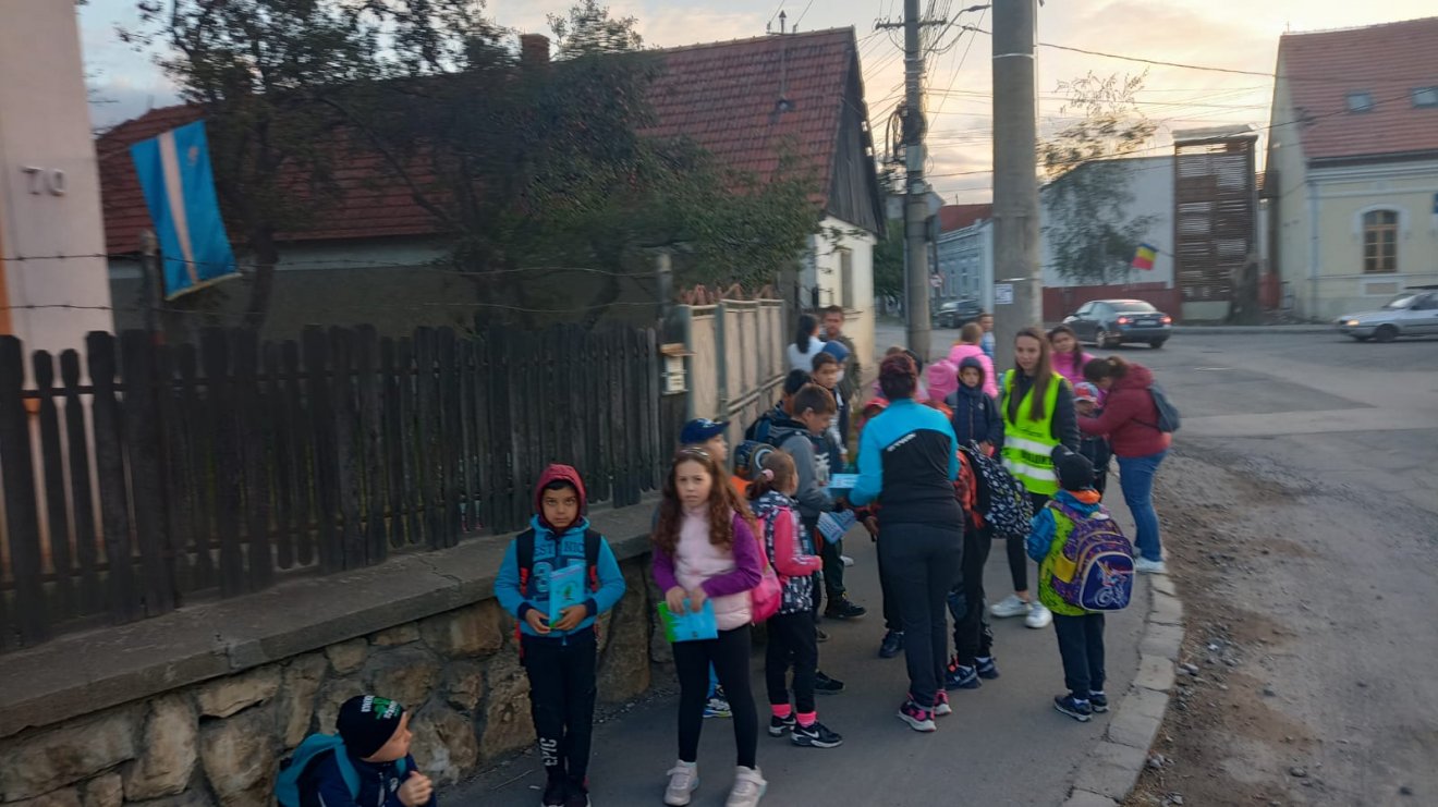 •  Fotó: Fenyő Szövetség