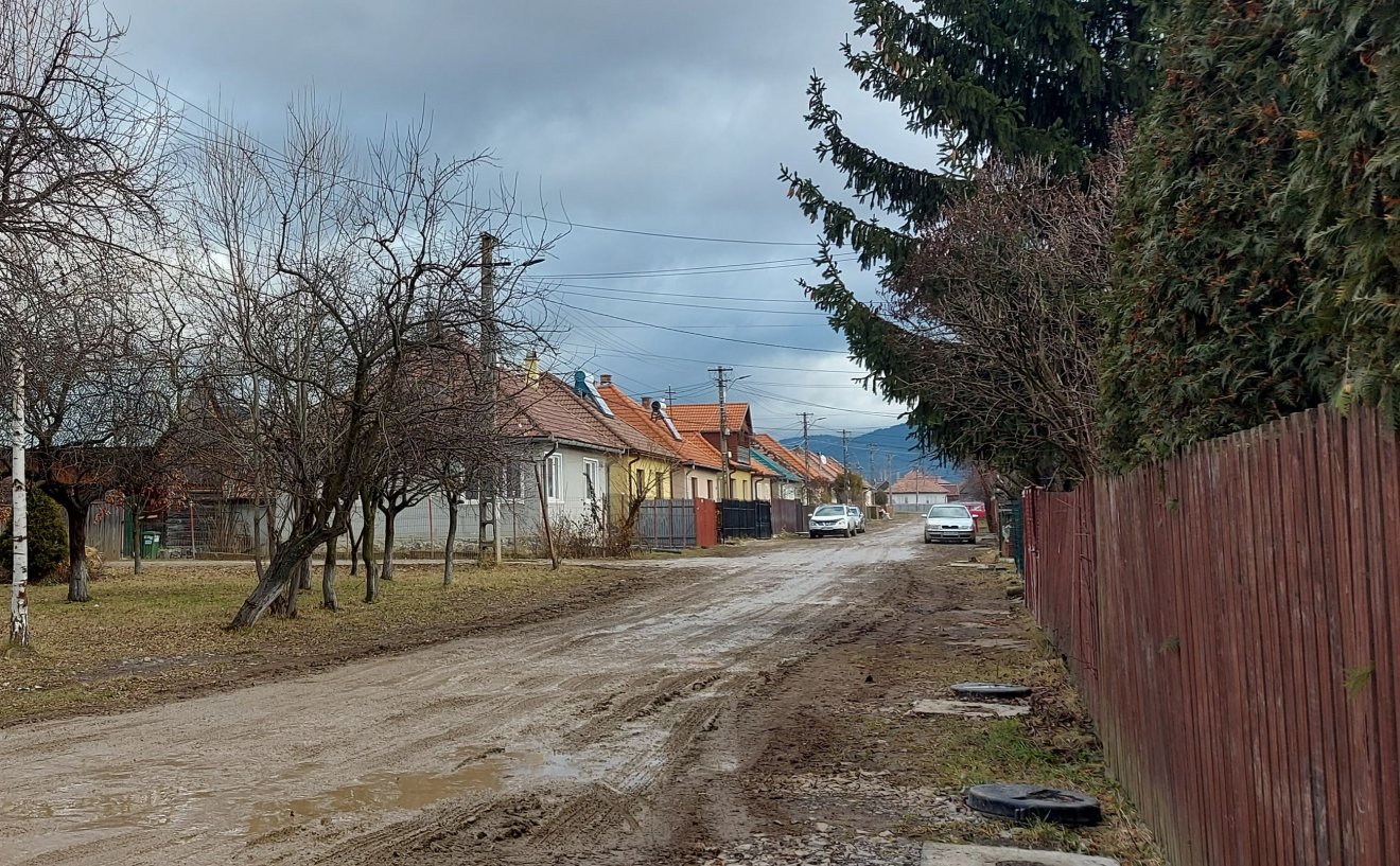 •  Fotó: Gergely Imre