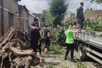 Összefogtak a gyergyóiak a viharkárok eltakarítására
