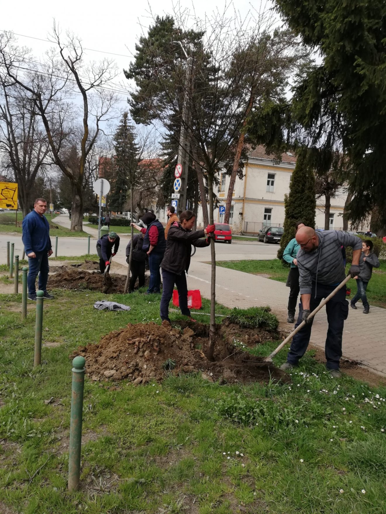•  Fotó: Fenyő Szövetség