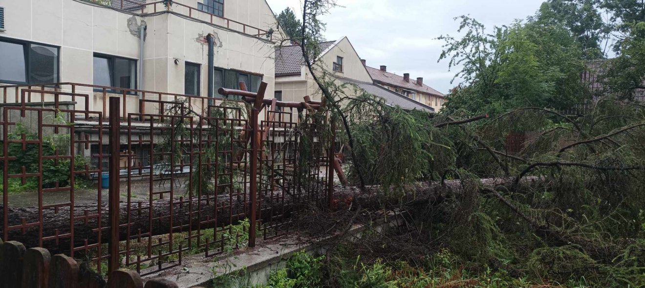 •  Fotó: Székelyhon