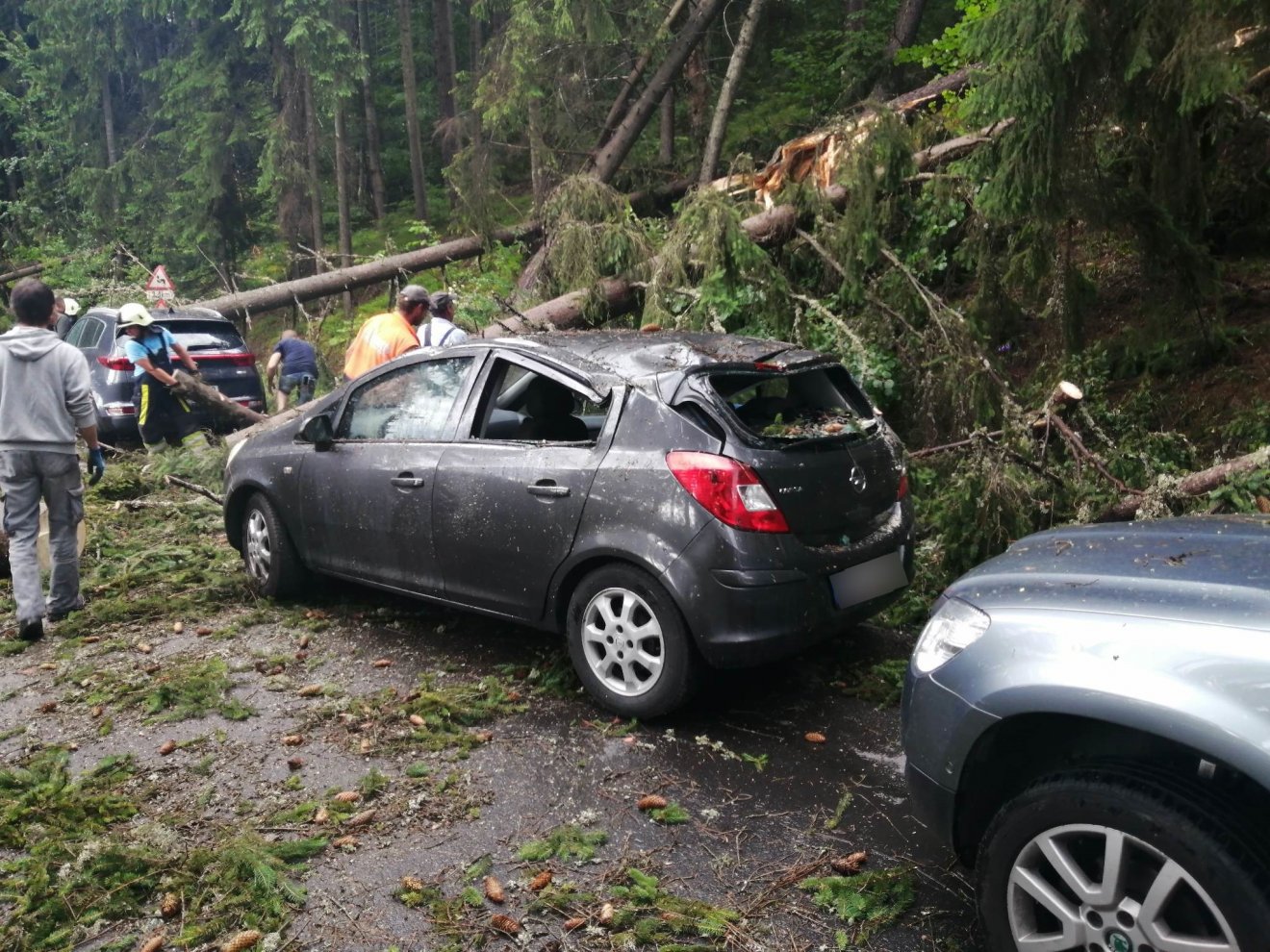 •  Fotó: Olvasói felvétel