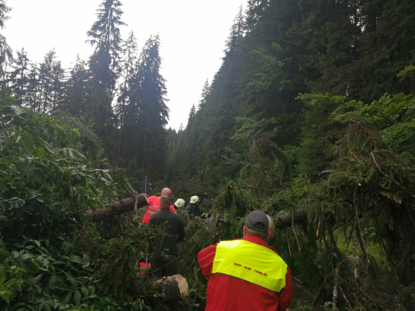 •  Fotó: Olvasói felvétel