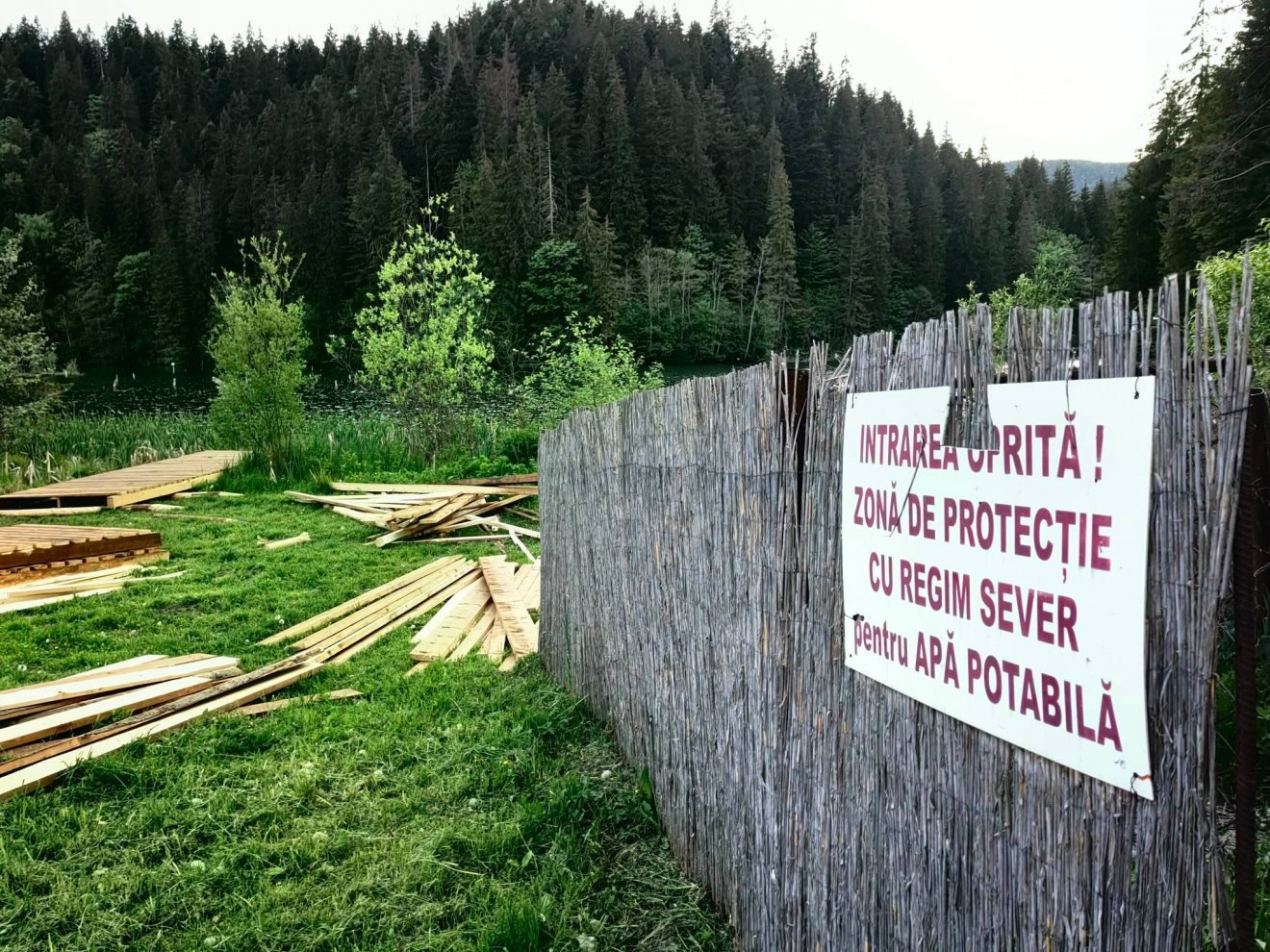 •  Fotó: Olvasói felvétel