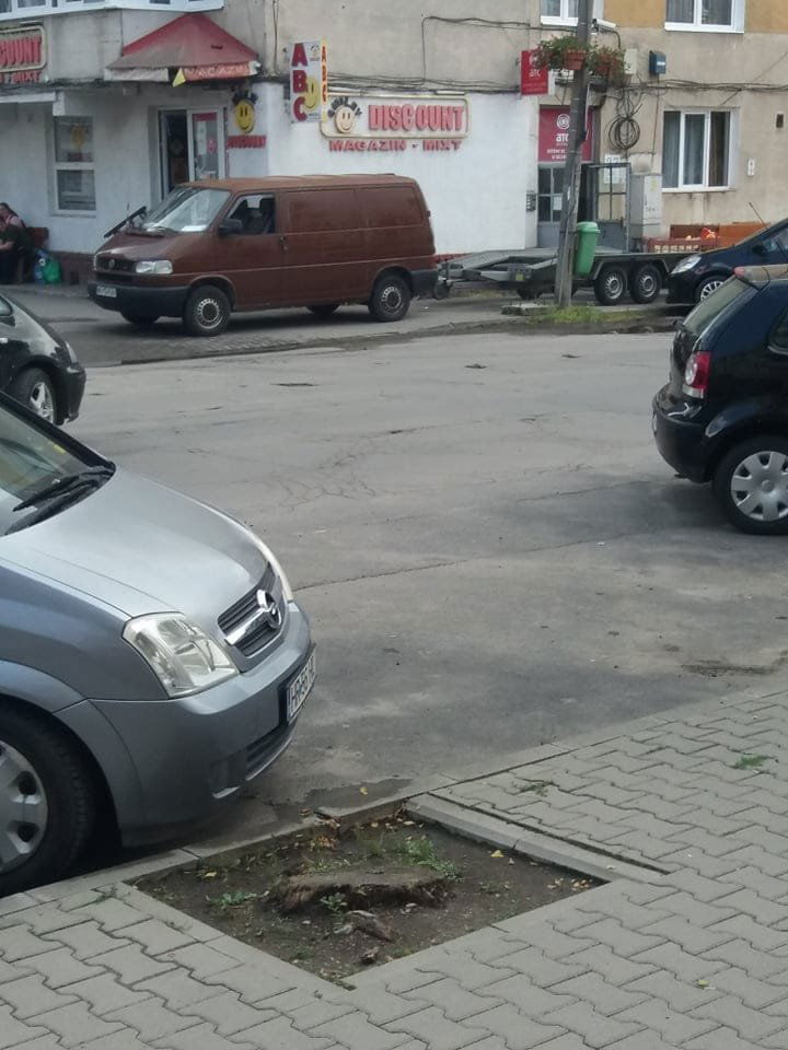 •  Fotó: Fenyő Szövetség