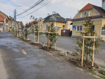 Amikor a civilek veszik kézbe a város feladatait