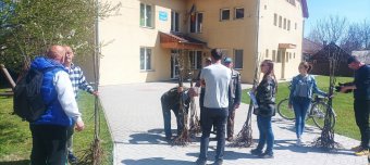 Iskolák, óvodák udvarára is gyümölcsfákat ültetnek