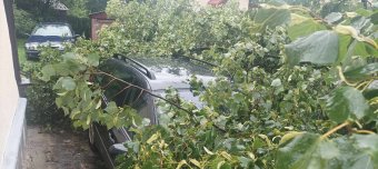 Fákat, villanyoszlopot döntött ki az erős szél Gyergyószentmiklós központjában