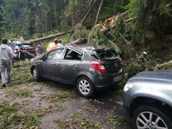 Fák dőltek az útra, nem volt járható a Libán a vihar után