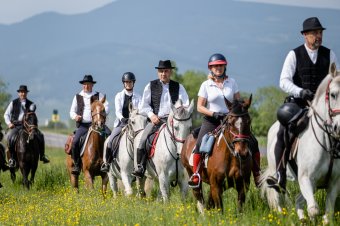 Márton Áron neve alatt indultak el Csíksomlyóra a lovas zarándokok