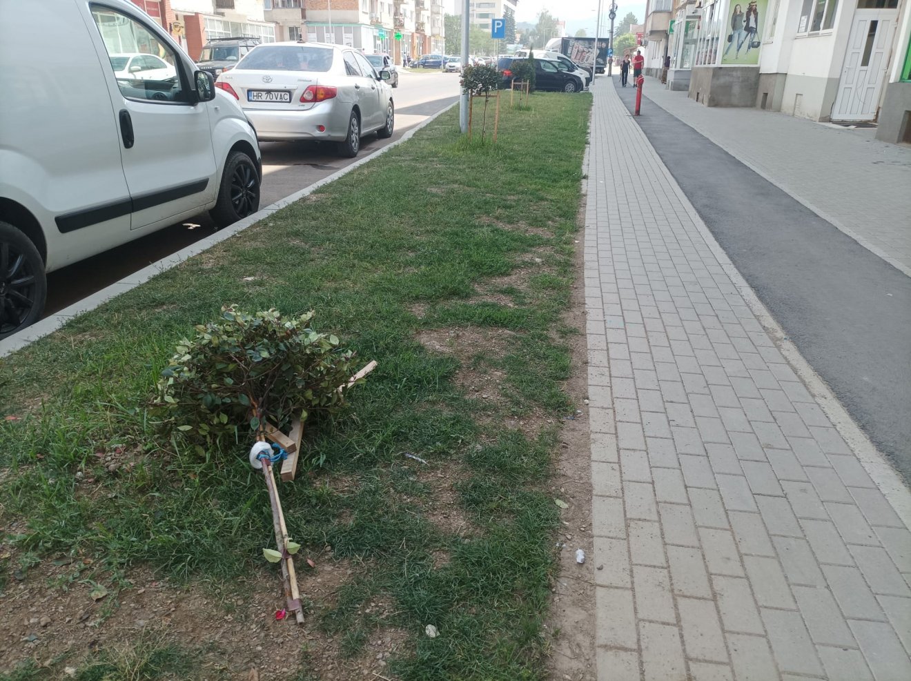 •  Fotó: Gergely Imre