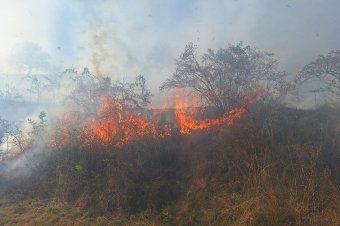 Öt hektárnyi száraz növényzetet perzselt fel a tűz Gyergyószentmiklósnál