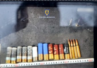 Nem örülhetett sokáig az elejetett gímszarvasnak