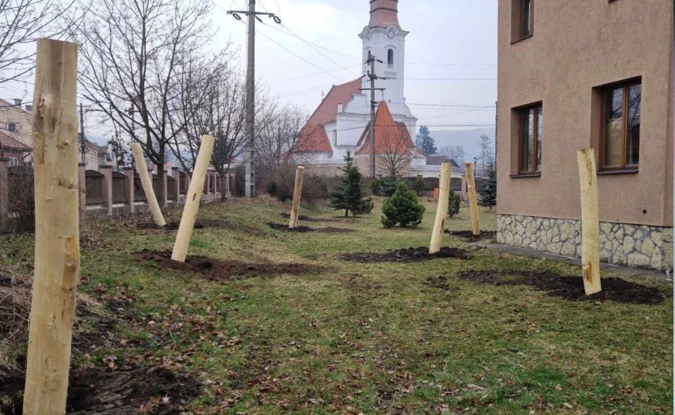 A függőágyak tartóoszlopai már elkészültek •  Fotó: Pro Terra Alapítvány