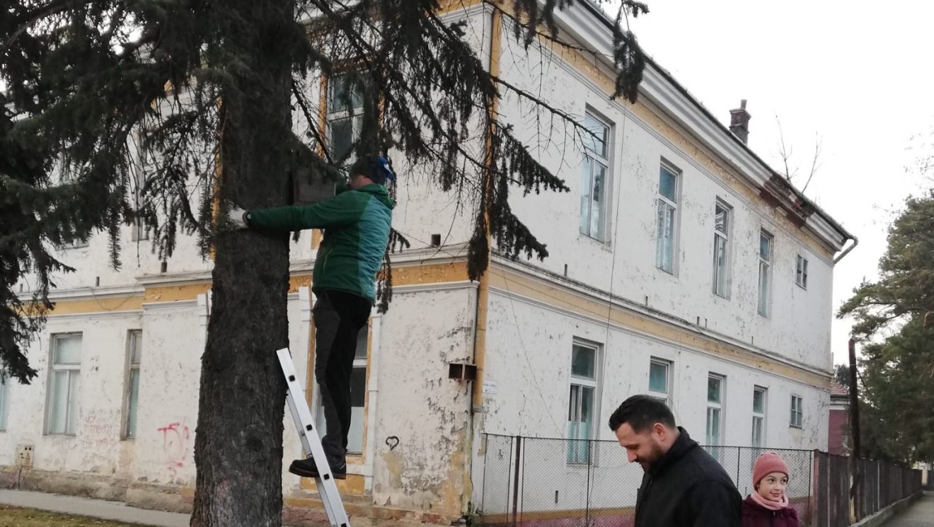 •  Fotó: Fenyő Szövetség
