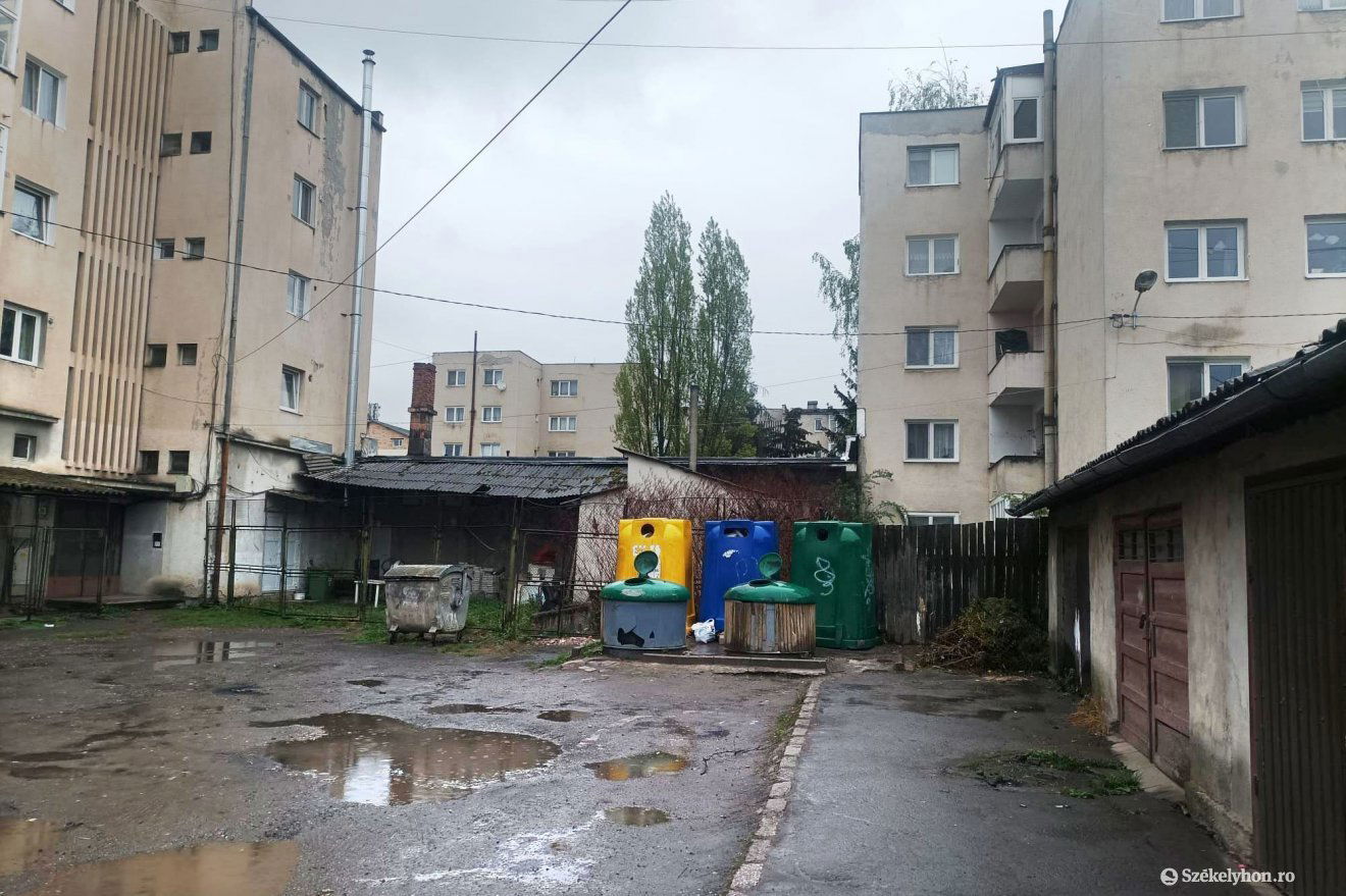 •  Fotó: Gergely Imre