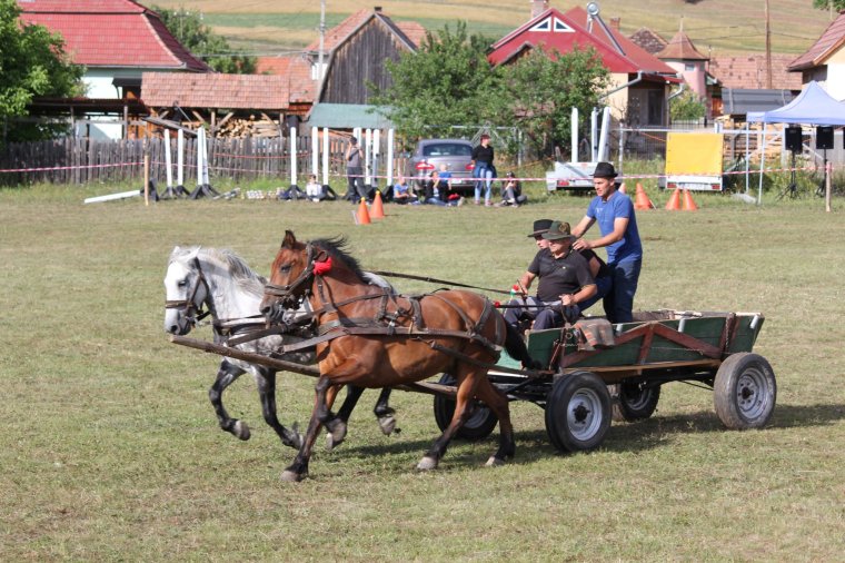 Újabb kiadásához érkezik a Ditrói Lovasnap
