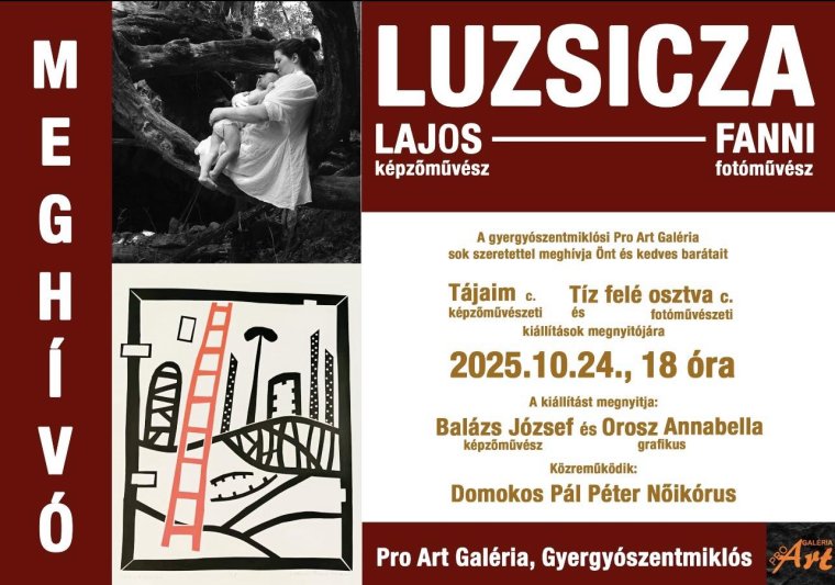 Luzsicza Lajos és Luzsicza Fanni alkotásait állítják ki Gyergyószentmiklóson