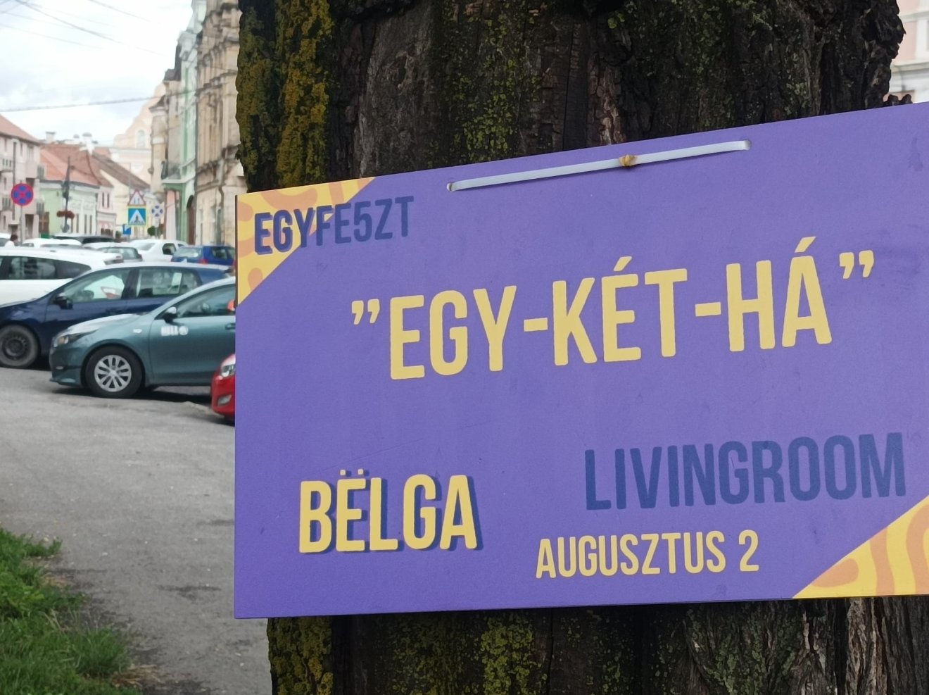 •  Fotó: Gergely Imre