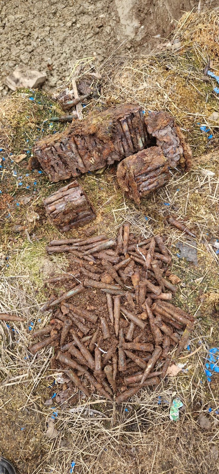 •  Fotó: ISU Hargita