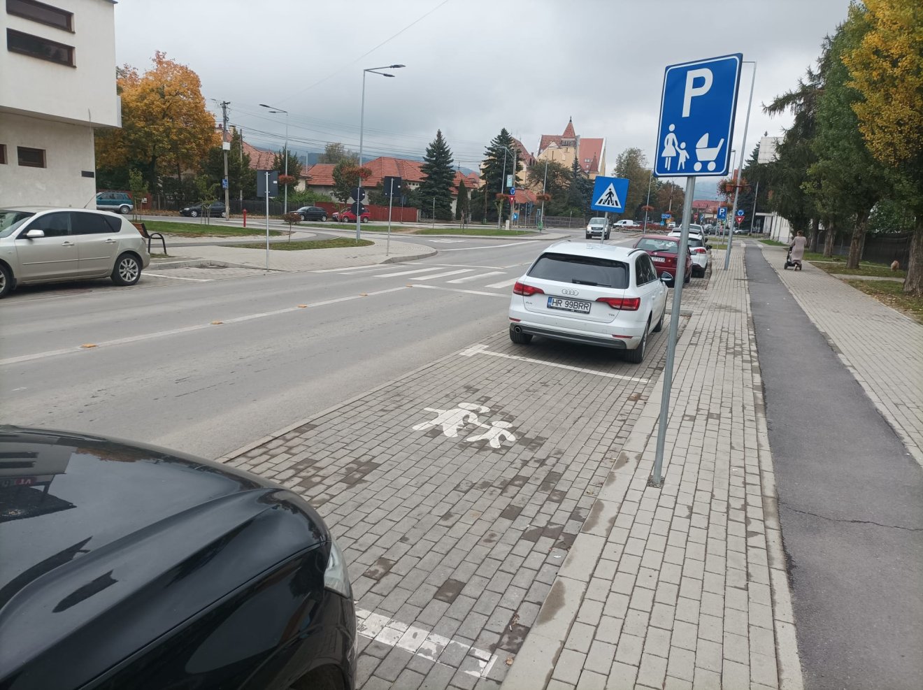 •  Fotó: Gergely Imre
