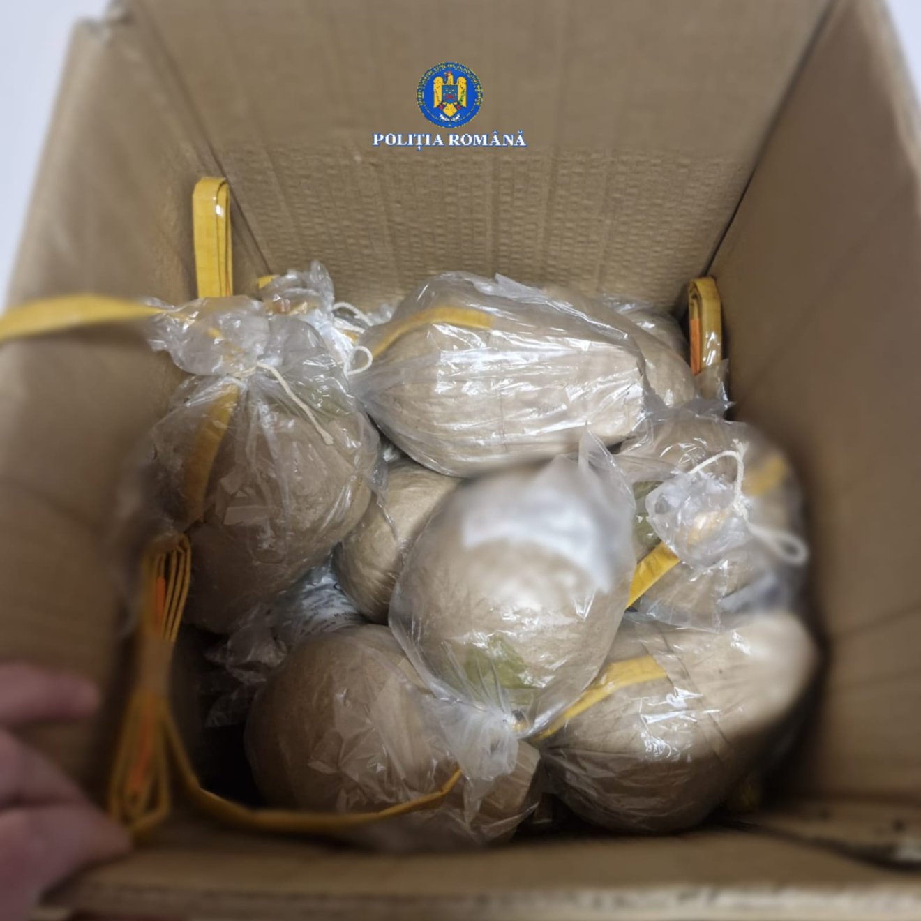 &bullet;  Fotó: Hargita megyei rendőrség